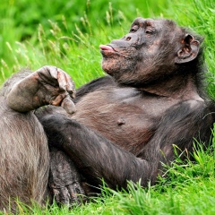 Фёдор Косяков, 07.04.1986