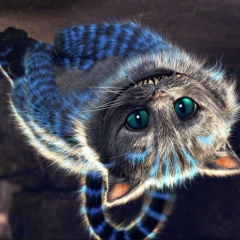 Алексей Маров, 30.03, Архангельск