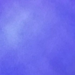 Александр Санчес, Киев