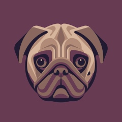 Лёша Болотовский, Санкт-Петербург