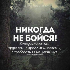 Хуршид Доминов, 17.08.1990, Шымкент