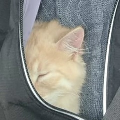 Алексей Тригуб, 23.07, Санкт-Петербург