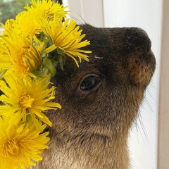 Клара Завадис, 29.01, Санкт-Петербург