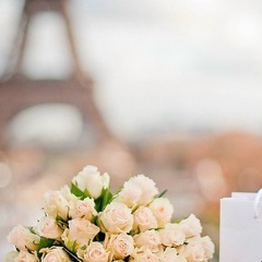 Daria Laurent, Paris