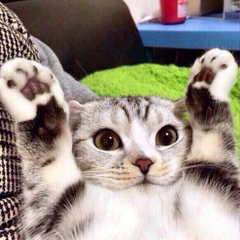 Aida Nyssambayeva, 13.09