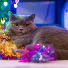 Ольга Беляева, 21.03