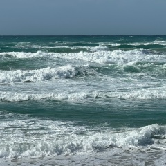 Иван На, 02.11.1981, Кишинев