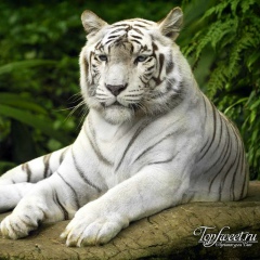 Kima Solkaryan, 25.07.1992, Прокопьевск