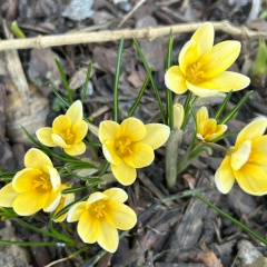 Like Like, 17.11, Москва