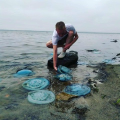 Александр Александров, 30.06