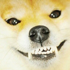 Машенька Ванинен, 26.11.1991, Санкт-Петербург