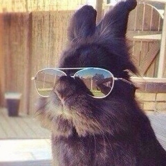 Антон Криницын, 29.09.1987, Челябинск