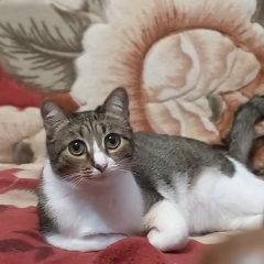 Ольга Бережная, 10.03.1978, Уфа