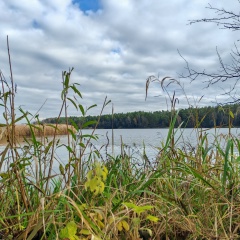 Мира Елисеева, 15.12.1977, Москва