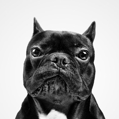 Acr Ps, 06.11.1985, Санкт-Петербург