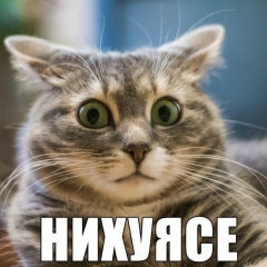 Николай Новиков, Нижний Новгород