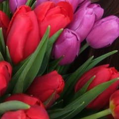 Анастасия Кукулевская, 21.02, Донецк