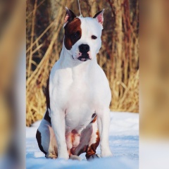 Янка Вебер, 25.07.1989, Санкт-Петербург