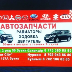 Ескендир Алдияров, 08.12.1985, Туркестан