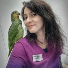 Анна Ромашова, 28.12.1987, Санкт-Петербург