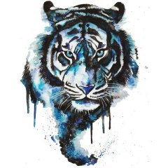 Артём Питерин, 22.08.1985, Санкт-Петербург