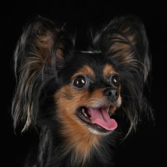 Ольга Филонова, Санкт-Петербург