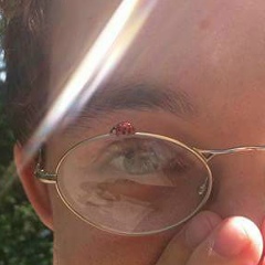 Mark D-S, 25.01.1992, Almería