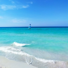 Павел Соболев, 02.08.1987, Санкт-Петербург