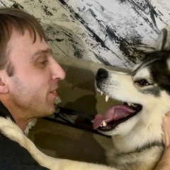 Никита Косташ, Дзержинск