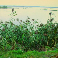 Иван Кочкуров, 20.08.1984, Энгельс