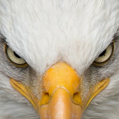 Юрий Николаевич, 23.03, Дмитров