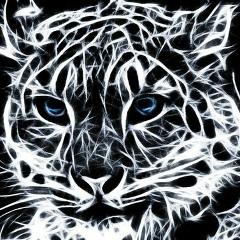 Дмитрий Рафальский, 24.09, Тараз