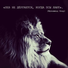 Руслан Ныров, 02.04, Баксаненок