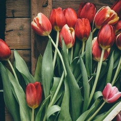 Айжан Джелдикбаева, 25.10, Астана