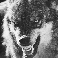 Едик Беимбетов, 21.07.1992, Астана