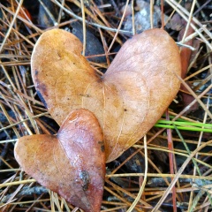 Татьяна Баранова