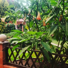 Марина Дудко, 11.10, Алматы