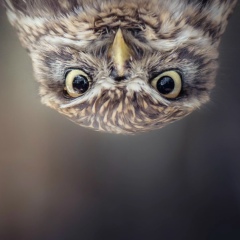 Андрей Махов, 06.05.1975