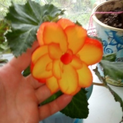 Наталья Чебыкина, Екатеринбург