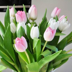 Наталья Жаркой, 28.01, Алматы