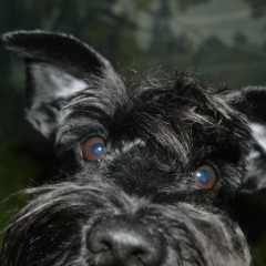 Николай Погодин, 24.01, Череповец