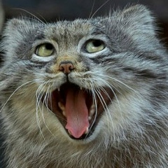 Михаил Мазурчик, 19.06.1991, Москва