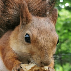 Ирина Трубачева, 04.02, Санкт-Петербург