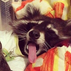 Рустем Такуов, 22.07.1991, Темиртау