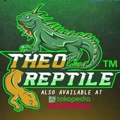 Berril Yufandar, 01.11.1994