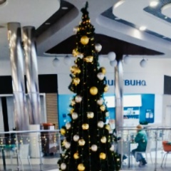 Елена Дубовицкая, 22.12, Санкт-Петербург