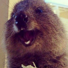 Наталья Голикова, 01.01, Пермь