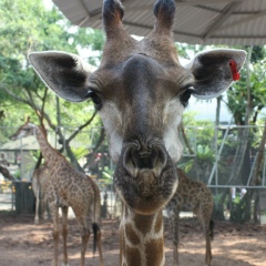 Юрий К, 07.03, Киев