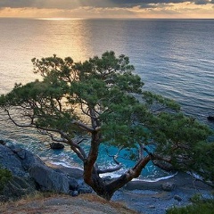 Горный Крым, Севастополь
