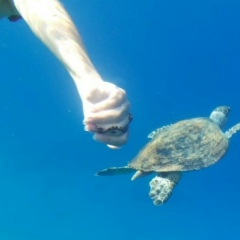 Полина Каримова, 05.04